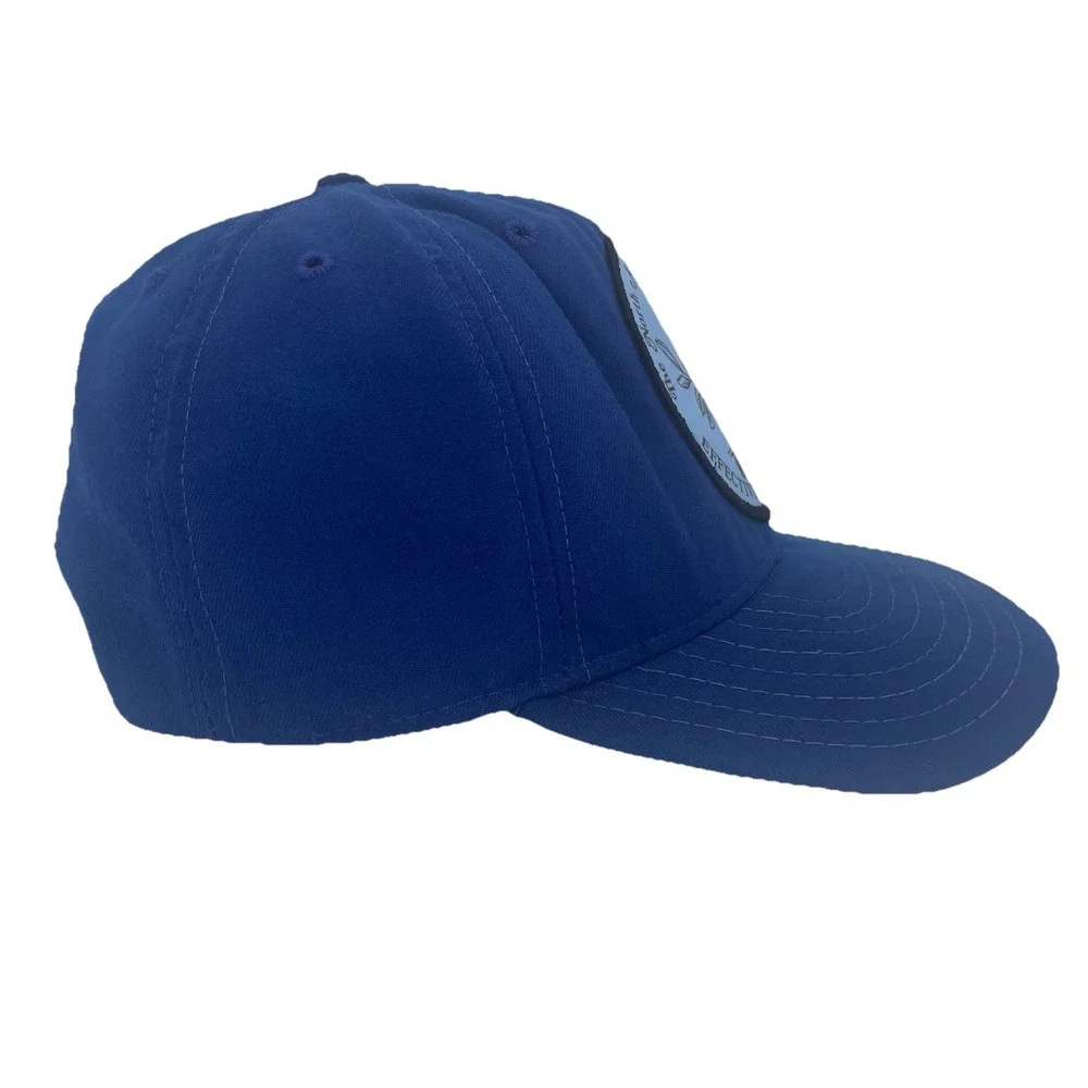 Vintage Trucker Hat Blue Snapback American Bluebird Society New Era DuPont Visor